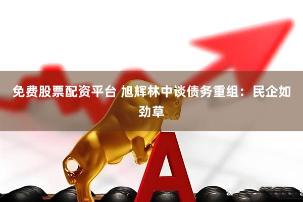 免费股票配资平台 旭辉林中谈债务重组：民企如劲草
