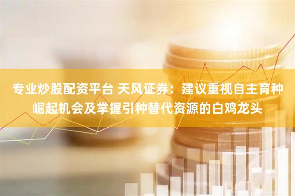 专业炒股配资平台 天风证券：建议重视自主育种崛起机会及掌握引种替代资源的白鸡龙头
